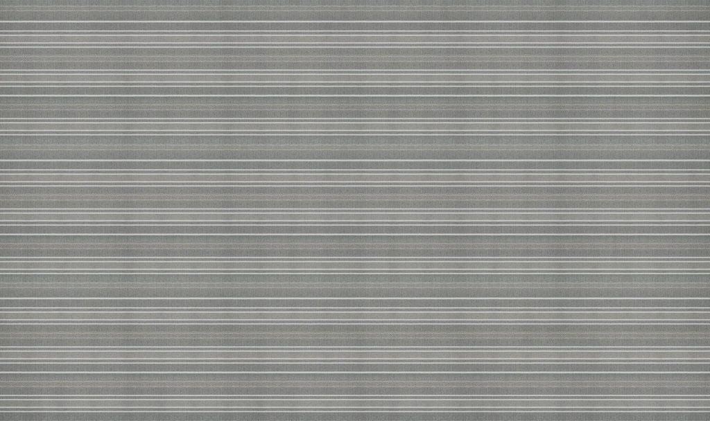 carta da parati riga