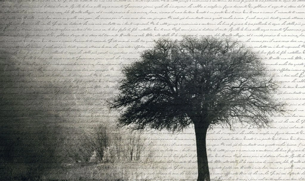 carta da parati albero online