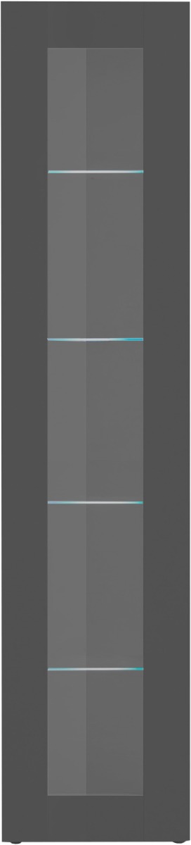 Vetrina sospesa di design con anta battente, finitura Antracite