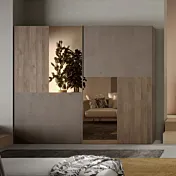 Armadio scorrevole Bronzo e Mercure con specchi bronzati Zenzero Shop