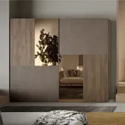 armadio bronzo specchio