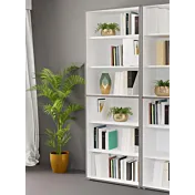 libreria conveniente