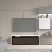 mobile tv cannettato