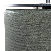 camino a bioetanolo verde salvia in promo