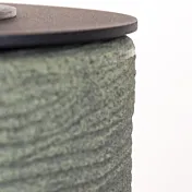 camino a bioetanolo verde salvia in promozione