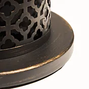 Camino a bioetanolo dettaglio colore