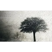 carta da parati albero