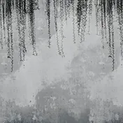 carta da parati piante