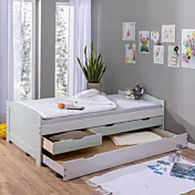 Divano letto con cassetti, secondo letto estraibile, Grigio chiaro e Salvia in promo