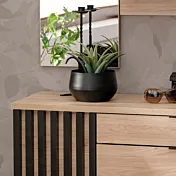 ingresso in saldo speciale