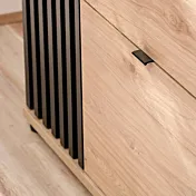 ingresso in promozione speciale