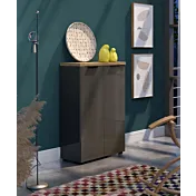 madia scarpiera 2 ante