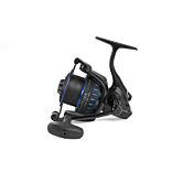 Preston Mulinello Magnitude