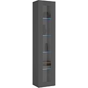 Vetrina sospesa di design con anta battente, finitura Antracite