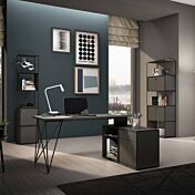 Libreria moderna per ufficio minimal