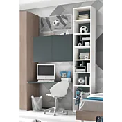 zona studio blu reale