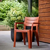 Set di 6 sedie da esterno, 62x79x59 h cm, color Verde, Rosso e Giallo