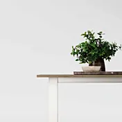 tavolo bianco e quercia