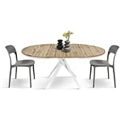 Tavolo ovale allungabile di design, colore Rovere