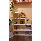 Moderna Libreria BOOK a scala, made in Italy, 4 ripiani