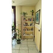 Moderna Libreria di design 5 ripiani, bianco artik e rovere canadian