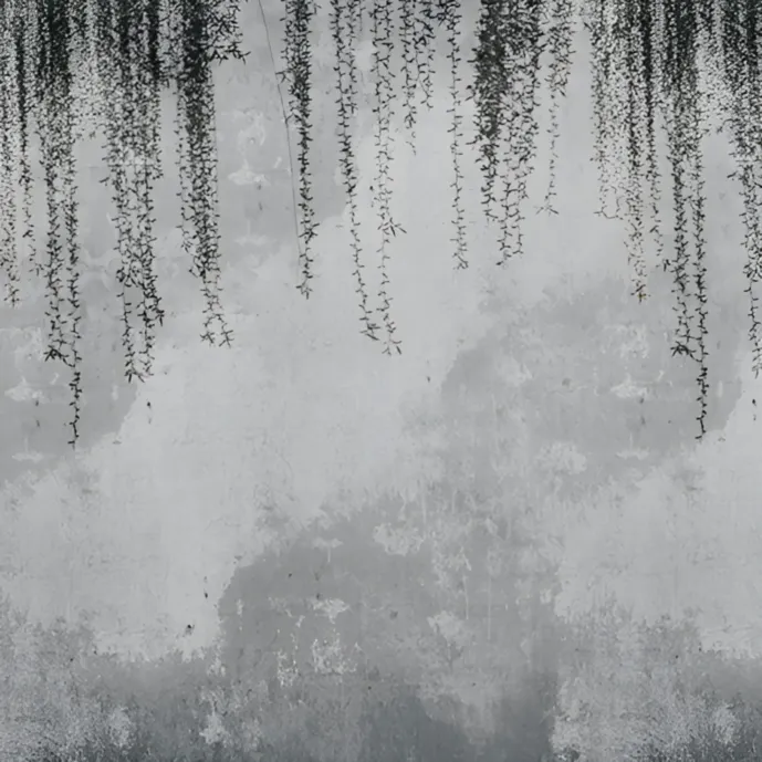 carta da parati piante