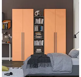 Armadi 2 ante battenti con libreria 5 ripiani, finitura Papaya e Grigio Titanio