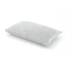 coppia di cuscini sfoderabili