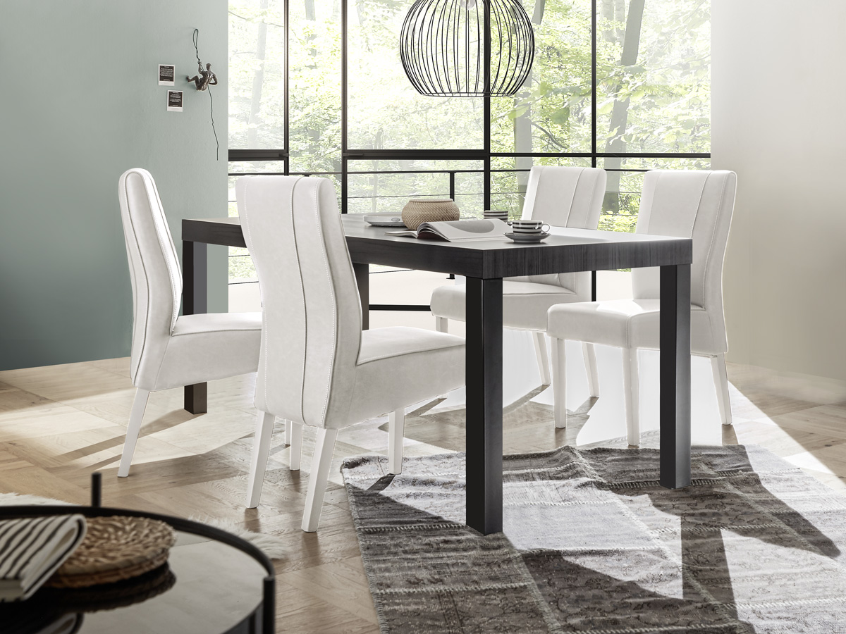 Soggiorno moderno, sala da pranzo moderna, composta da madie e tavolo, frassinato nero