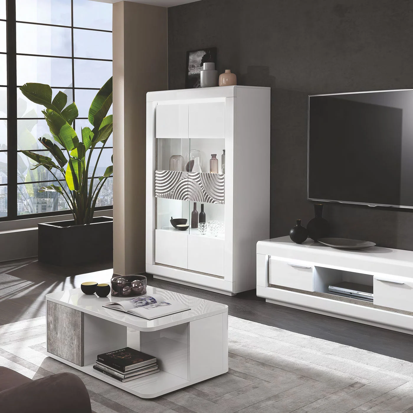 vetrina con due ante funzionale 