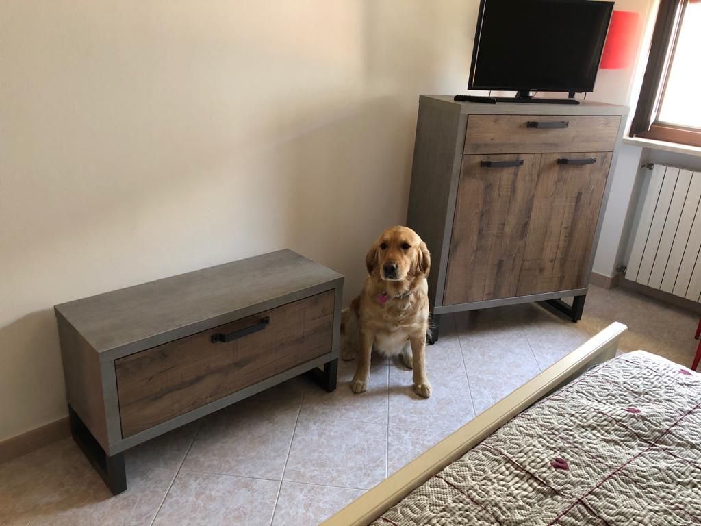 Mobiletto scarpiera Industry d'ingresso 2 ante 1 cassetto, Cemento e Rovere invecchiato